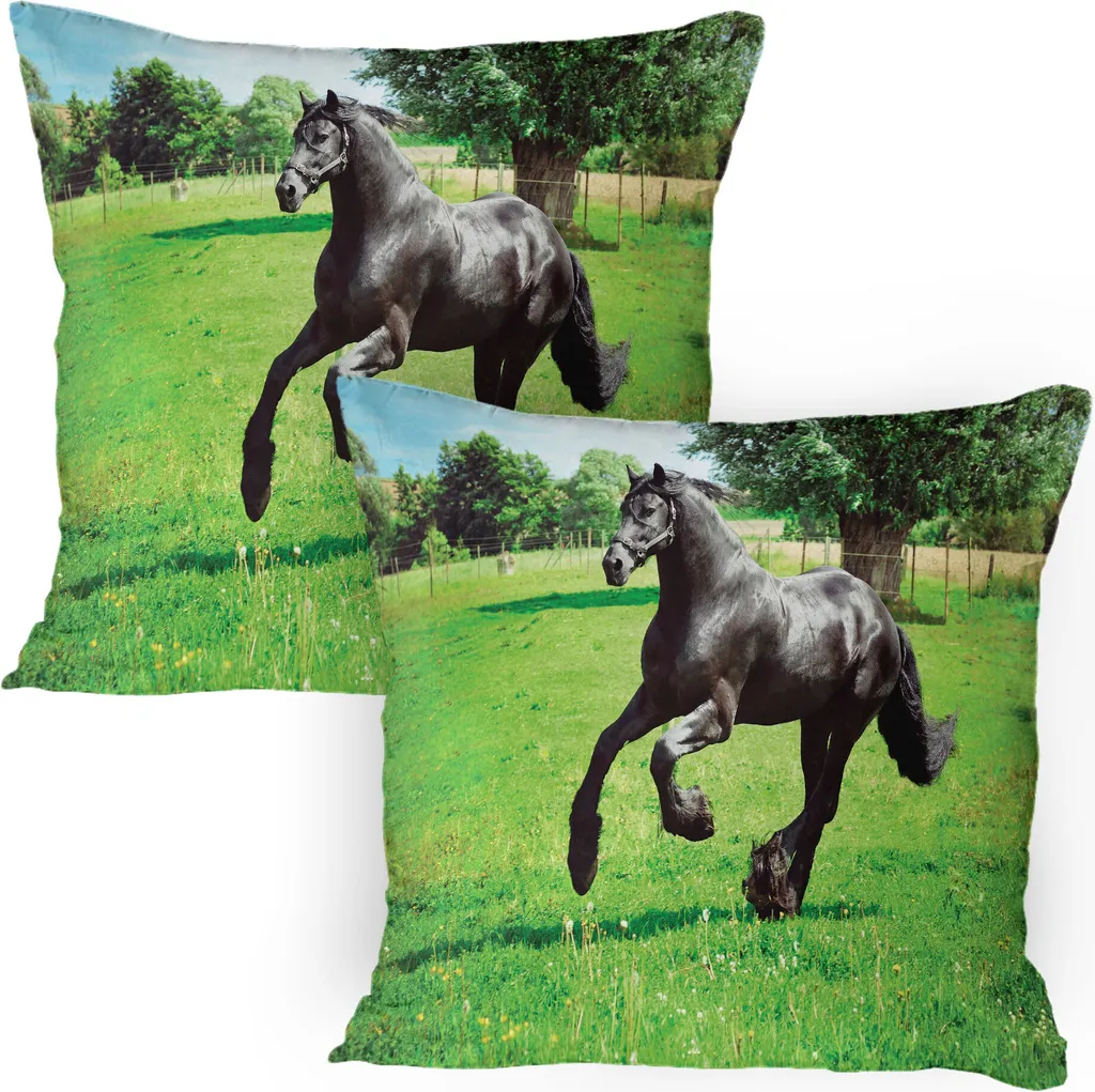 Abakuhaus Federe Cavallo 80x80 Set da 2 - Microfibra Nero Verde