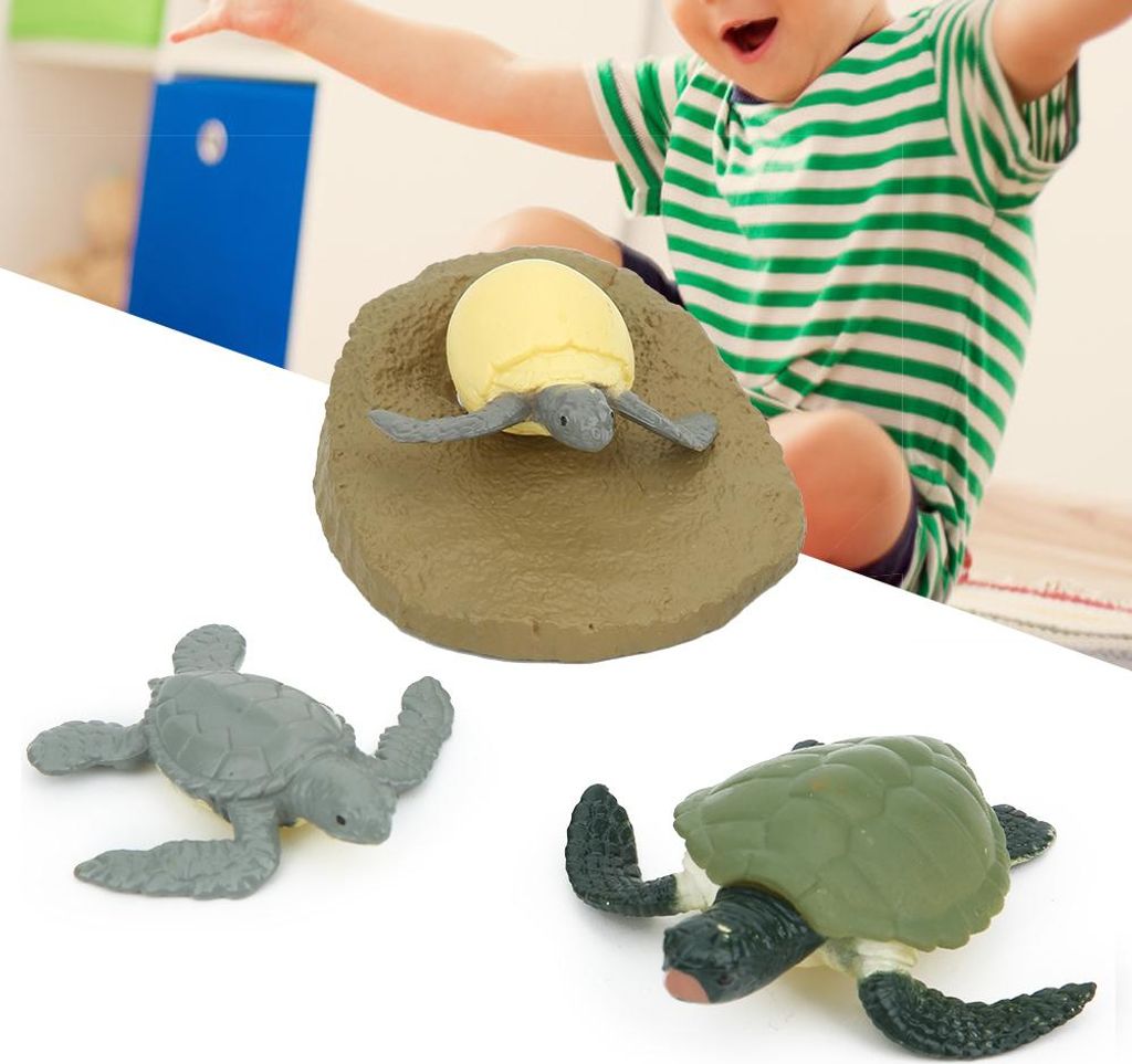 Hochsimulation Tierlebenszyklus Modell Spielzeug Kinder Kind LernspielzeugSchildkröte