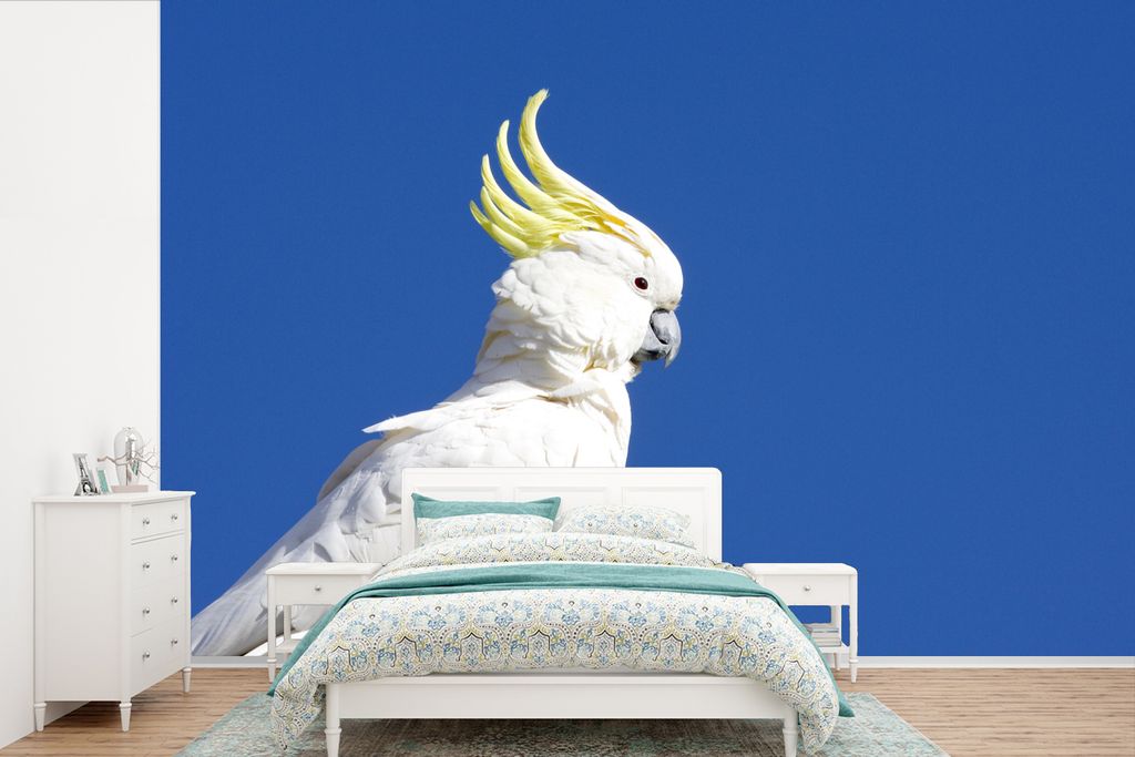 MuchoWow Fototapete für Wohnzimmer oder Schlafzimmer Wandtapete Vinyl Motivtapete Weißer Kakadu mit gelbem Kamm vor blauem Himmel - 525x350 cm ...