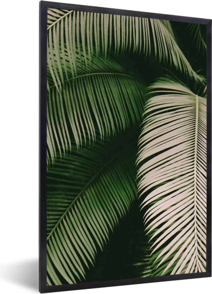 MuchoWow Gerahmtes Poster Palmwedel - Sommer - Tropisch 40x60 cm - Poster mit Schwarzem Bilderrahmen Wandposter Rahmen Foto Bilder - Papierdruck ...