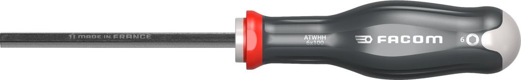 Facom Schraubendreher 6-Kant 6x100mm