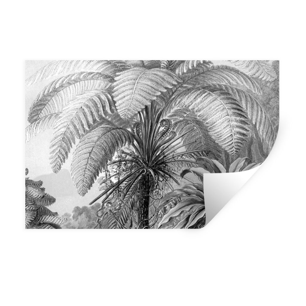 MuchoWow Wandtattoo Wandsticker Wandaufkleber Pflanzen - Schwarz und weiß - Design - Illustration - Botanisch 30x20 cm Selbstklebend und Reposit...