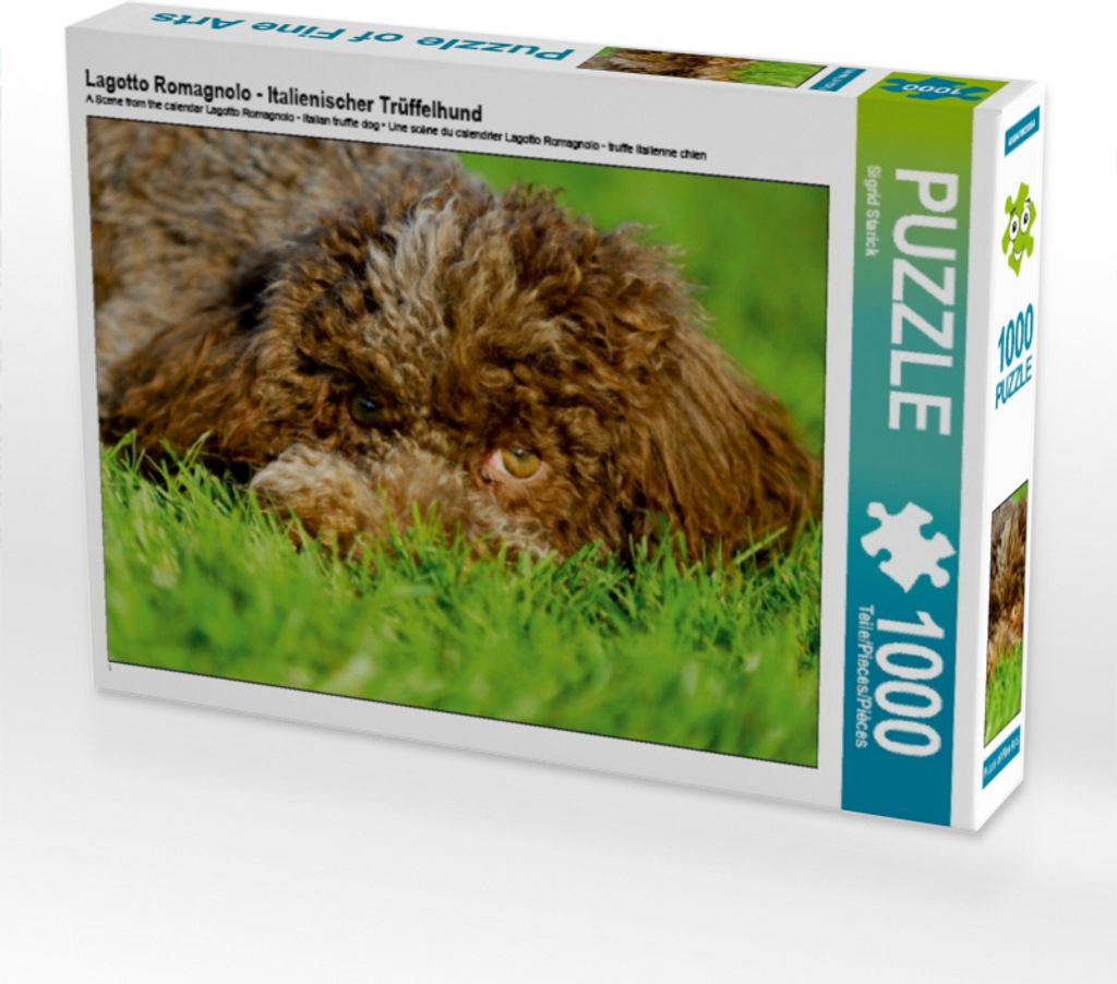 CALVENDO Puzzle Lagotto Romagnolo - Italienischer Trüffelhund | 1000 Teile Lege-Größe 64x48cm Foto-Puzzle für glückliche Stunden