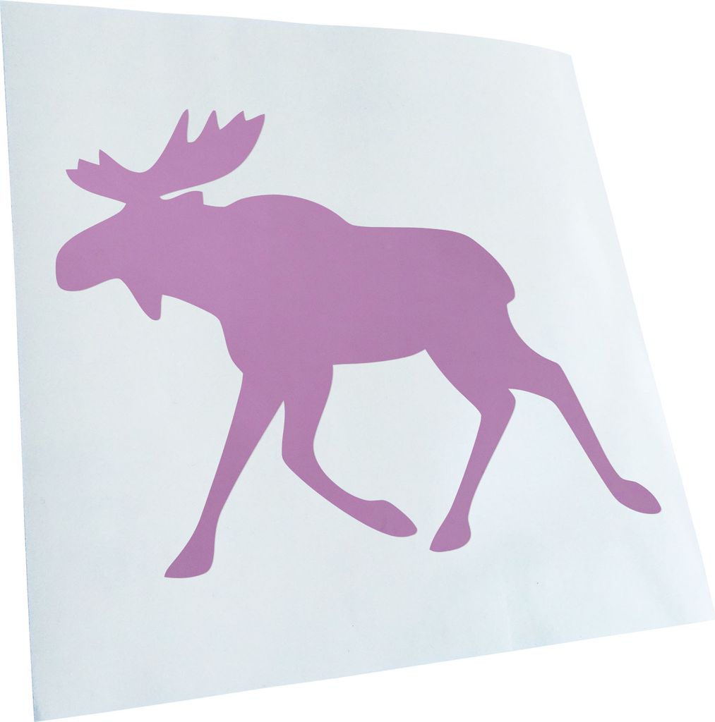 Kiwistar - Autoaufkleber - Darwin Loves You - Neon Matt - Aufkleber für Auto Kfz Fahrrad, LKW, Truck Mofa