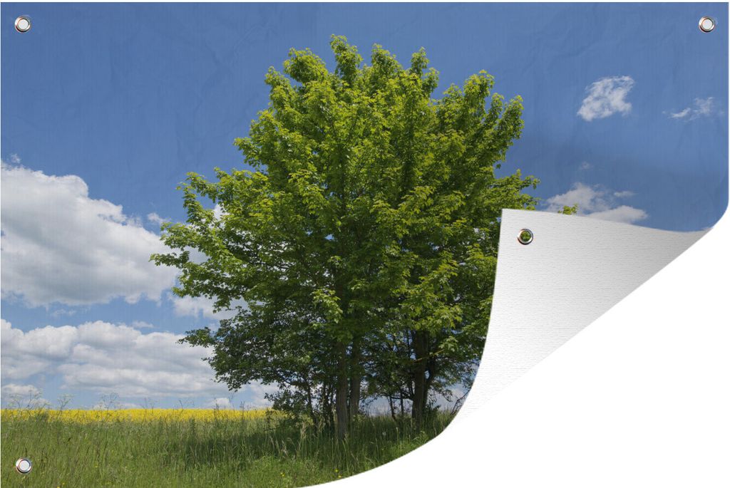 MuchoWow 90x60 cm Outdoor-Poster Gartendeko Sichtschutz Garten Poster für den Garten Eine spanische Barkasse unter blauem Himmel