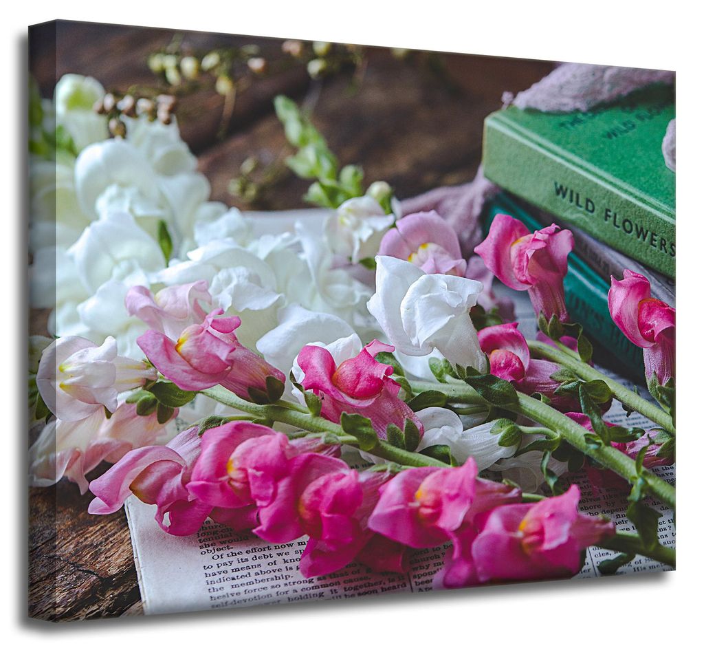 Leinwanddruck Botanik Löwenmäulchen 50x40 cm Blumenstrauß