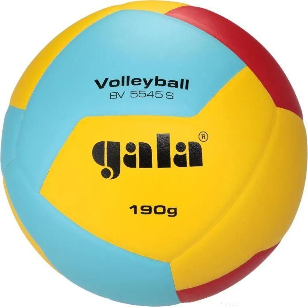 Ballon de Volley BV5545S de 190g Idéal pour Débutants et Entraînements