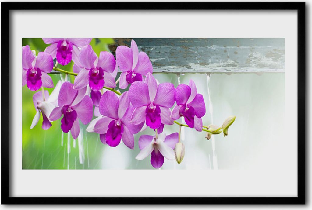 Bild 60x40 MDF-Rahmen Wandkunst Orchideen Natur Drops