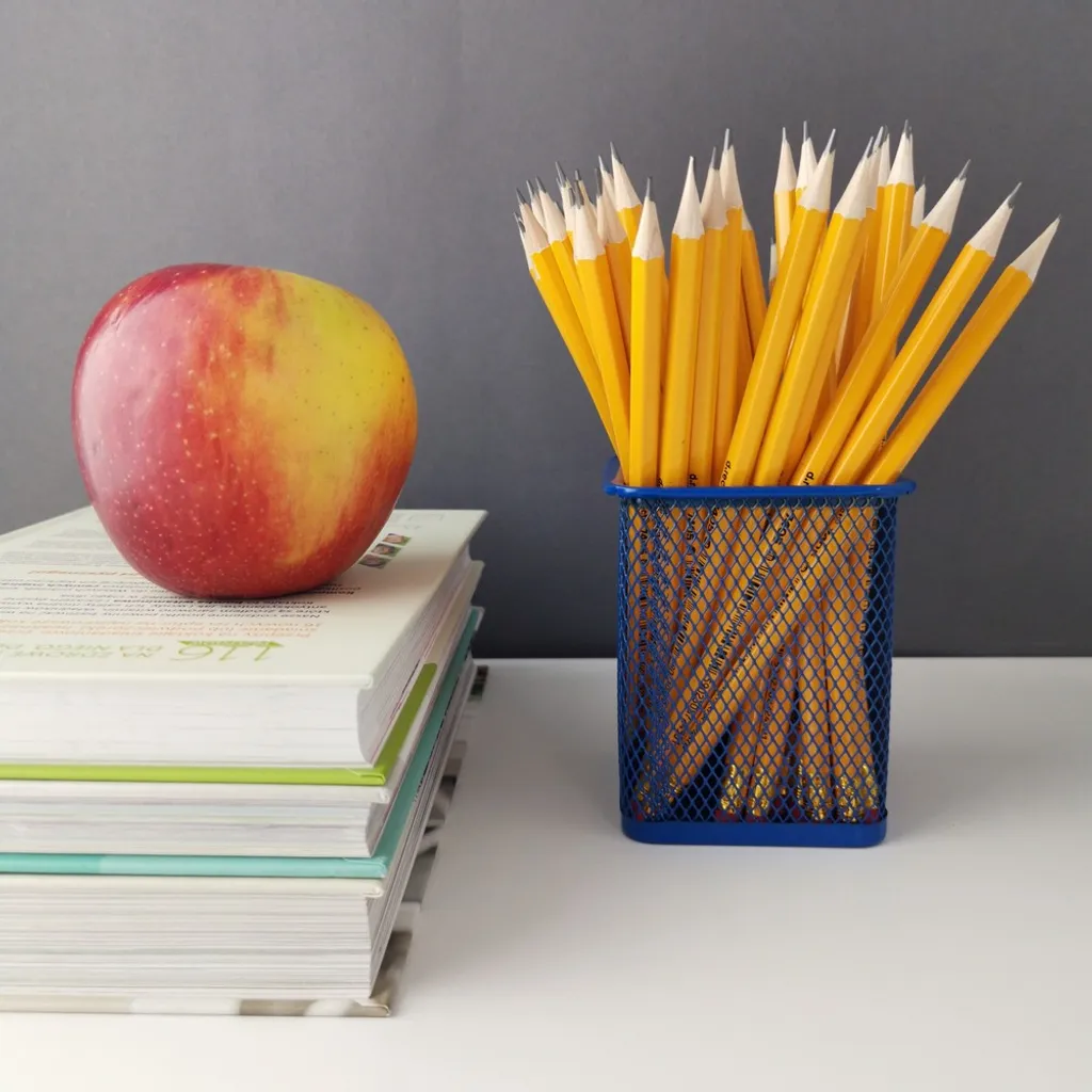 Organizer Penne D.RECT 110851 Metallo Mesh Blu Navy - Offerta Online - 2