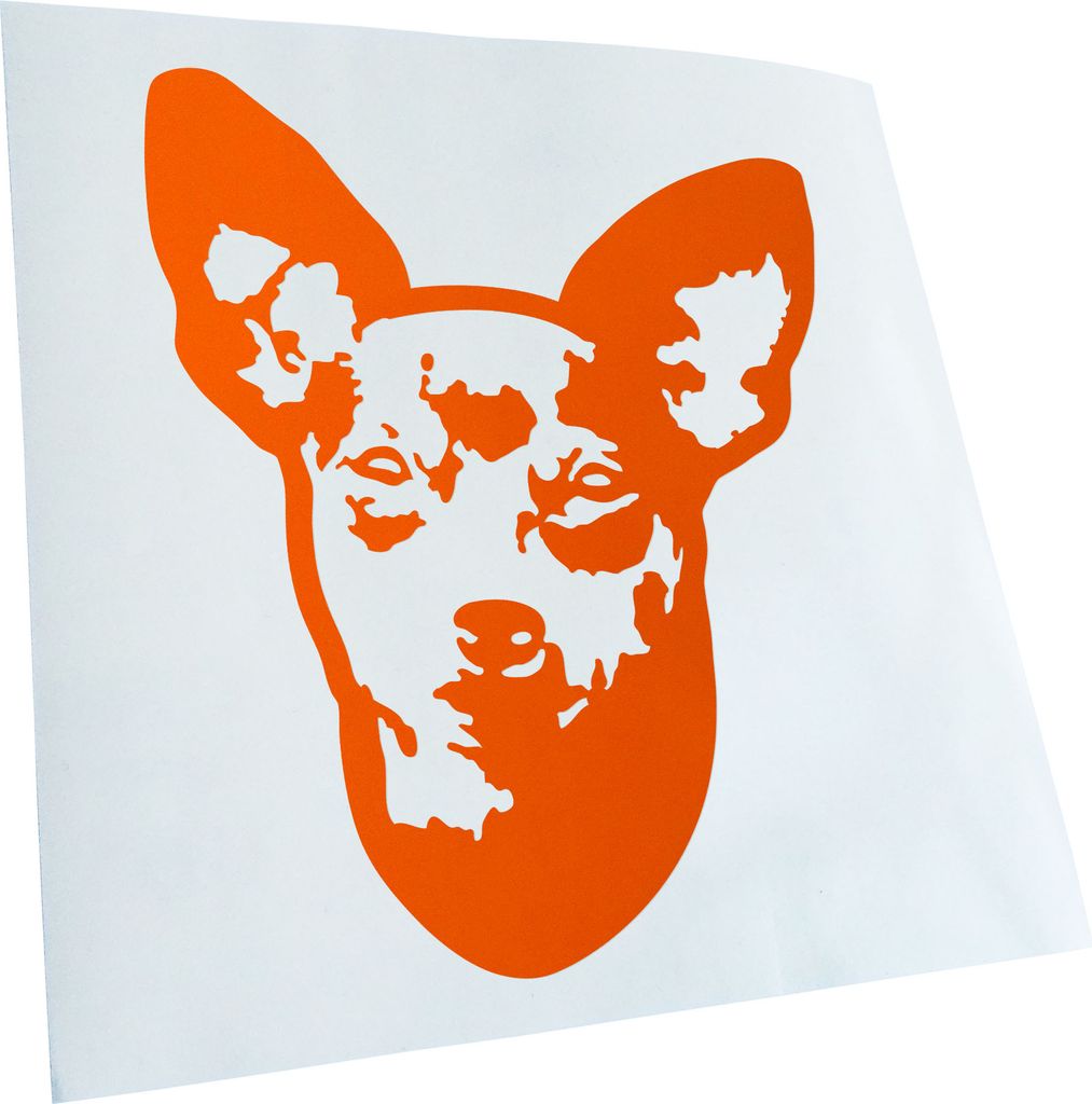 Kiwistar - Autoaufkleber - miniature pinscher Hund - Orange - 60x50cm - Aufkleber für Auto, Laptop, Fahrrad, LKW, Motorrad mehrfarbig JDM Decal Ra...