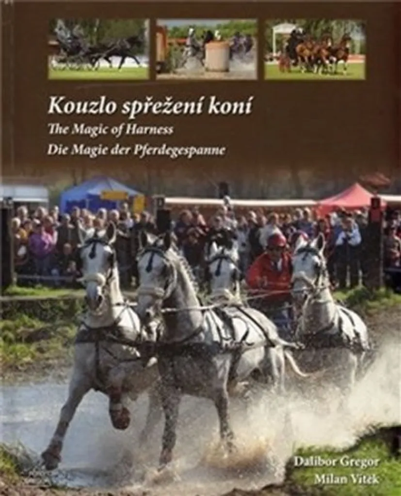 Beau Livre de Photographie sur l'Attelage de Tradition - Magie des Chevaux