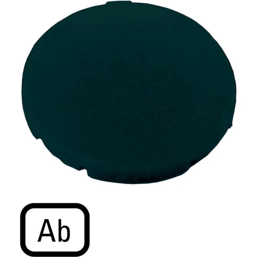 Plaque de Touche Noire pour Bouton Ø22mm EATON - Montage Panneau Pro