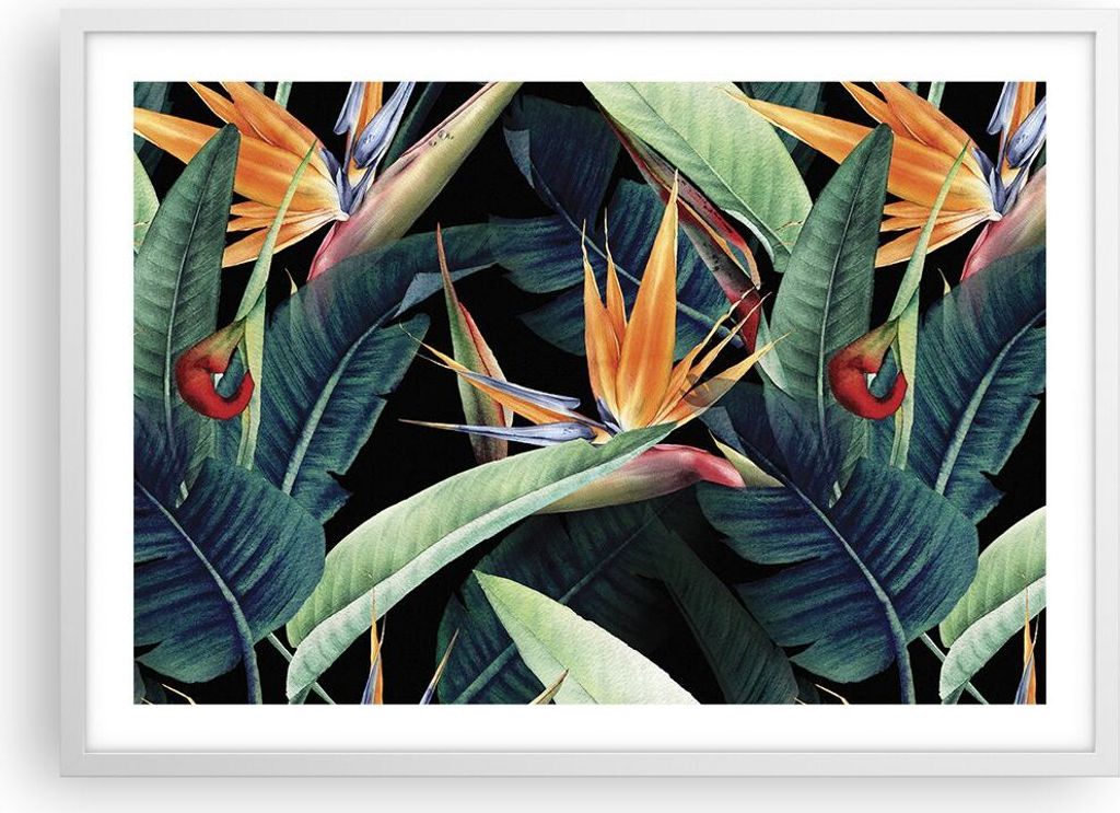 Gerahmtes Poster - Weißer Rahmen - Pflanze Tropisch Blume - 70x50 cm - Wand Bild - Wanddeko - Wandbilder - Kunstposter - Wandposter - Bilderrahmen...