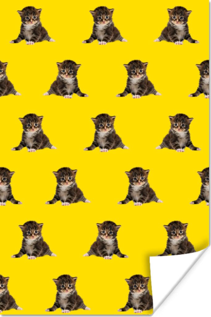 MuchoWow Poster Kätzchen - Muster - Gelb 20x30 cm - Papierdruck