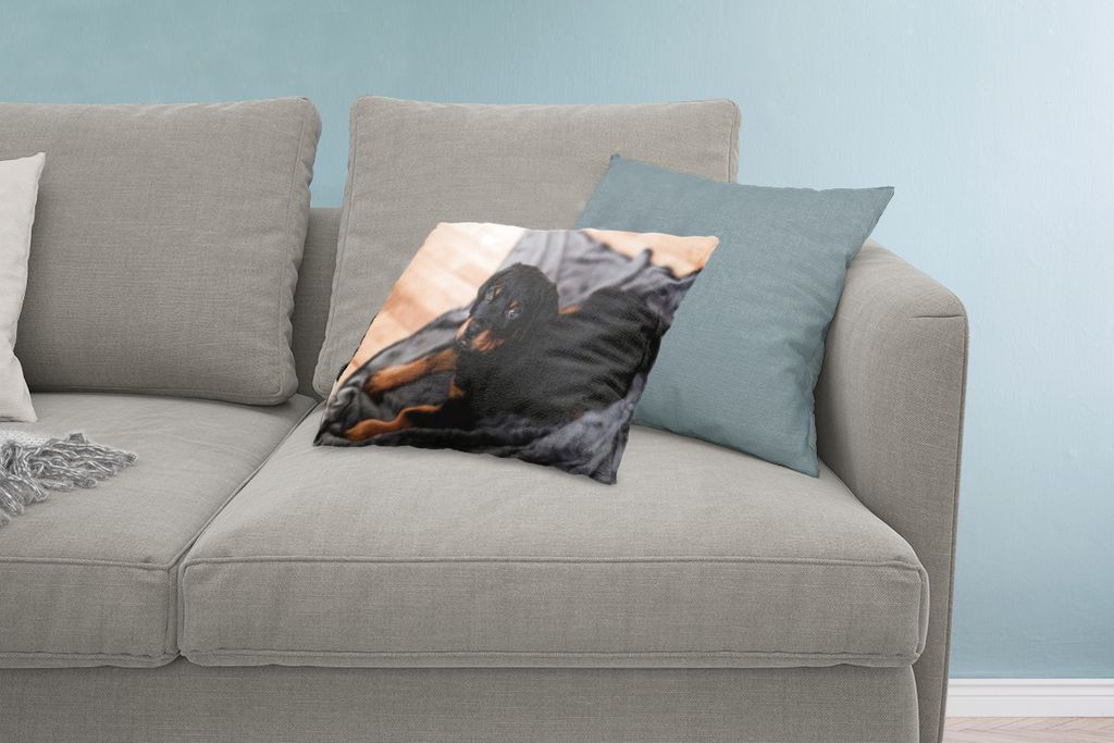 MuchoWow Zierkissen Sofakissen Wohnzimmer Dekokissen 60x40 cm Ein Rottweiler-Welpe auf einem schwarzen Teppich - Kopfkissen - Polster mit Foto