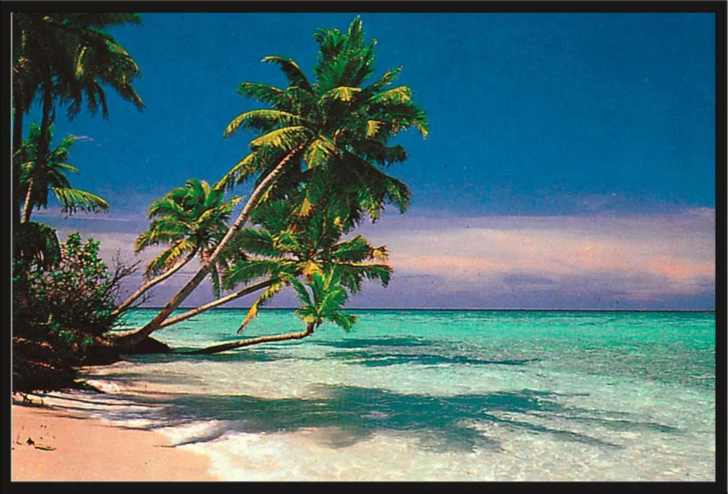 Cadre avec Affiche Plage Tropicale Shinsuke Maxi 61x91,5cm Plastique Noir