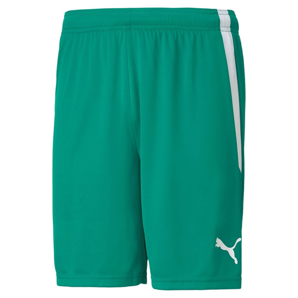Puma Teamliga Shorts Kinder - Grün
