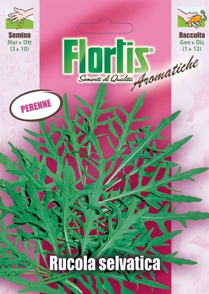 Wilde Rauke | Raukesamen von Flortis