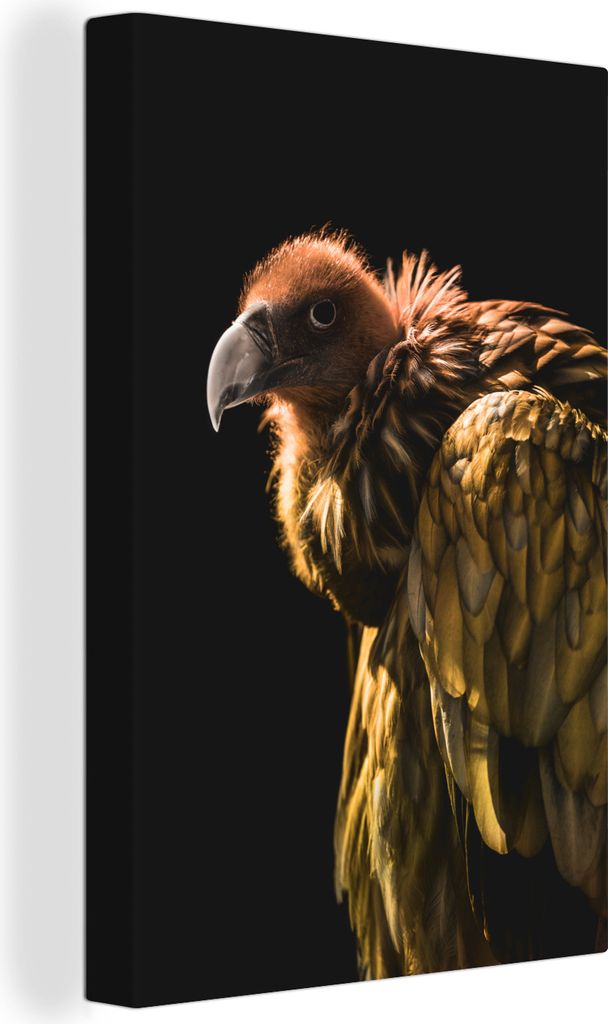 OneMillionCanvasses - Leinwandbilder - 90x140 cm, Geier - Raubtier - Vogel, Wandbilder Kunstdruck Wanddekoration - Wandschmucke - Schlafzimmer