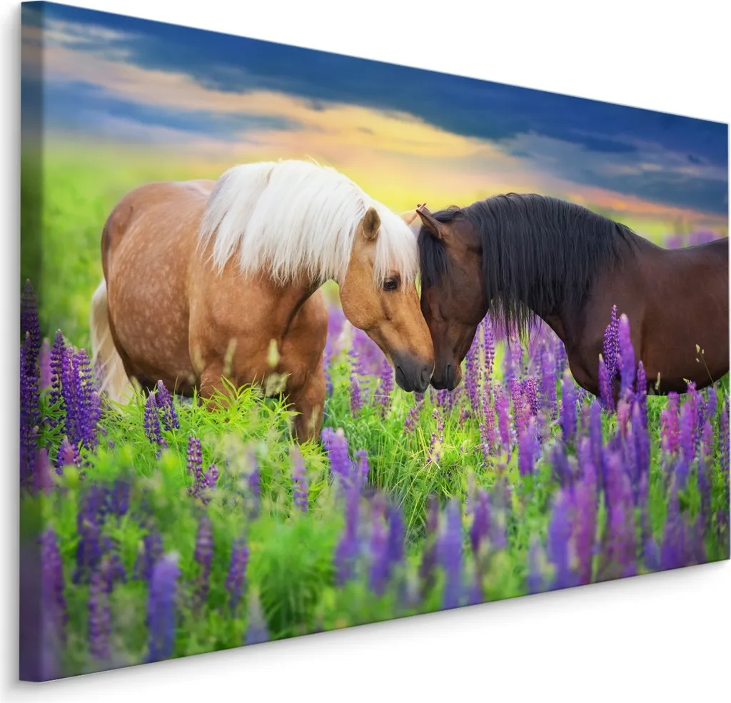Carta da Parati Artistica Tela 70x50 cm Prato Lavanda e Cavalli XXL