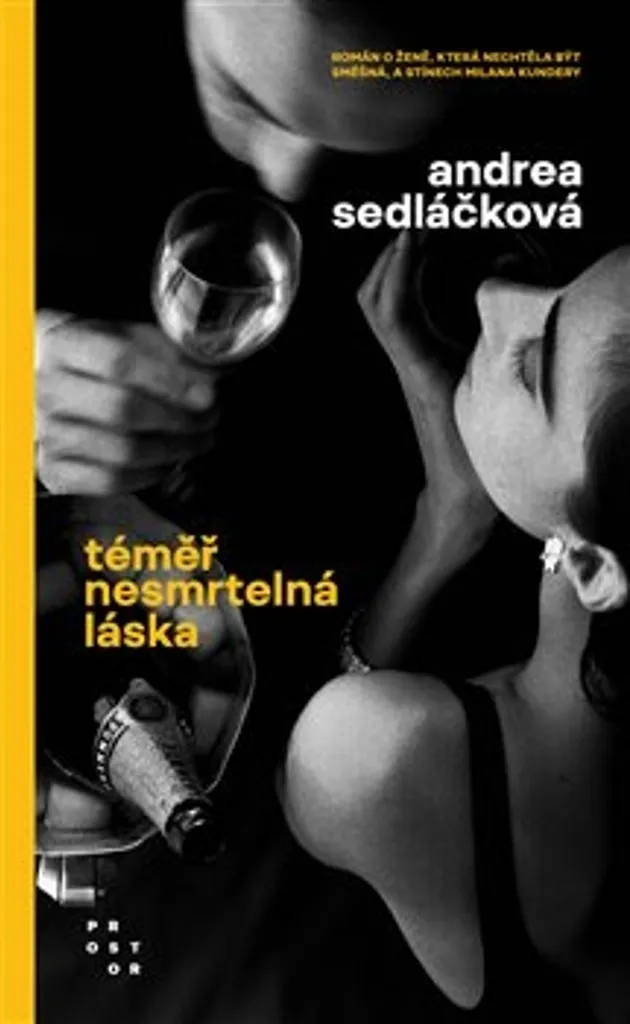 Livre Téměř nesmrtelná láska : Idée Cadeau Littéraire Andrea Sedláčková