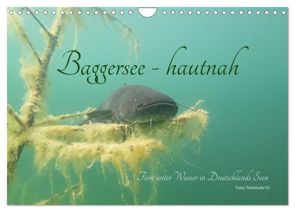 Baggersee -hautah (Wandkalender 2027 DIN A4 quer), CALVENDO Monatskalender