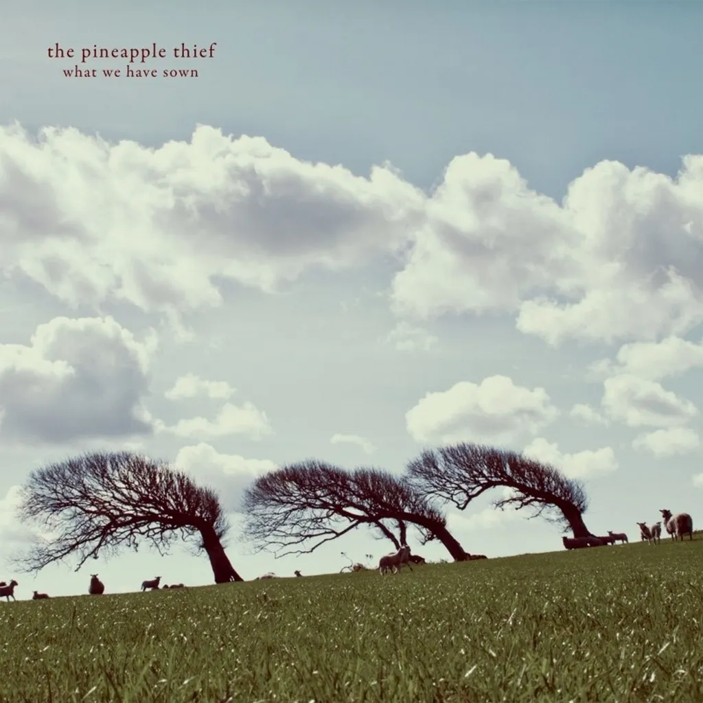 The Pineapple Thief What We Have Sown Double Vinyle LP Progressif