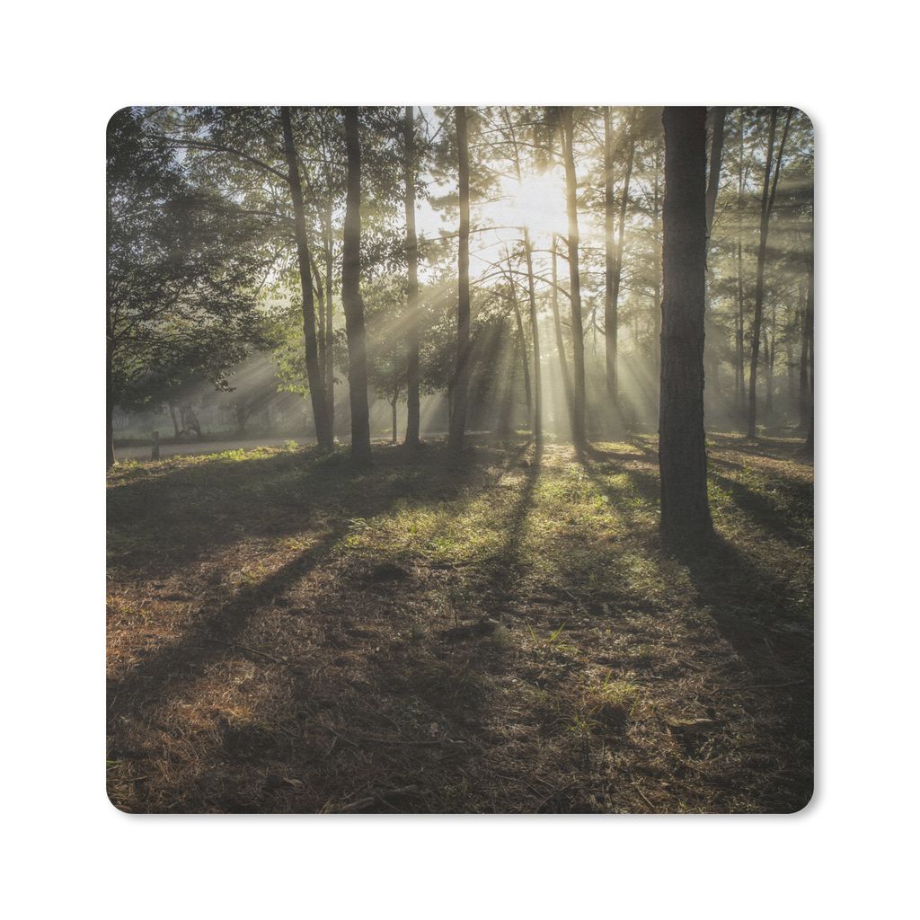 MuchoWow Mauspad Mousepad Wald - Sonne - Nebel 30x30 cm - Mousepads - Maus Mat - Pad - Mausunterlage - Gaming