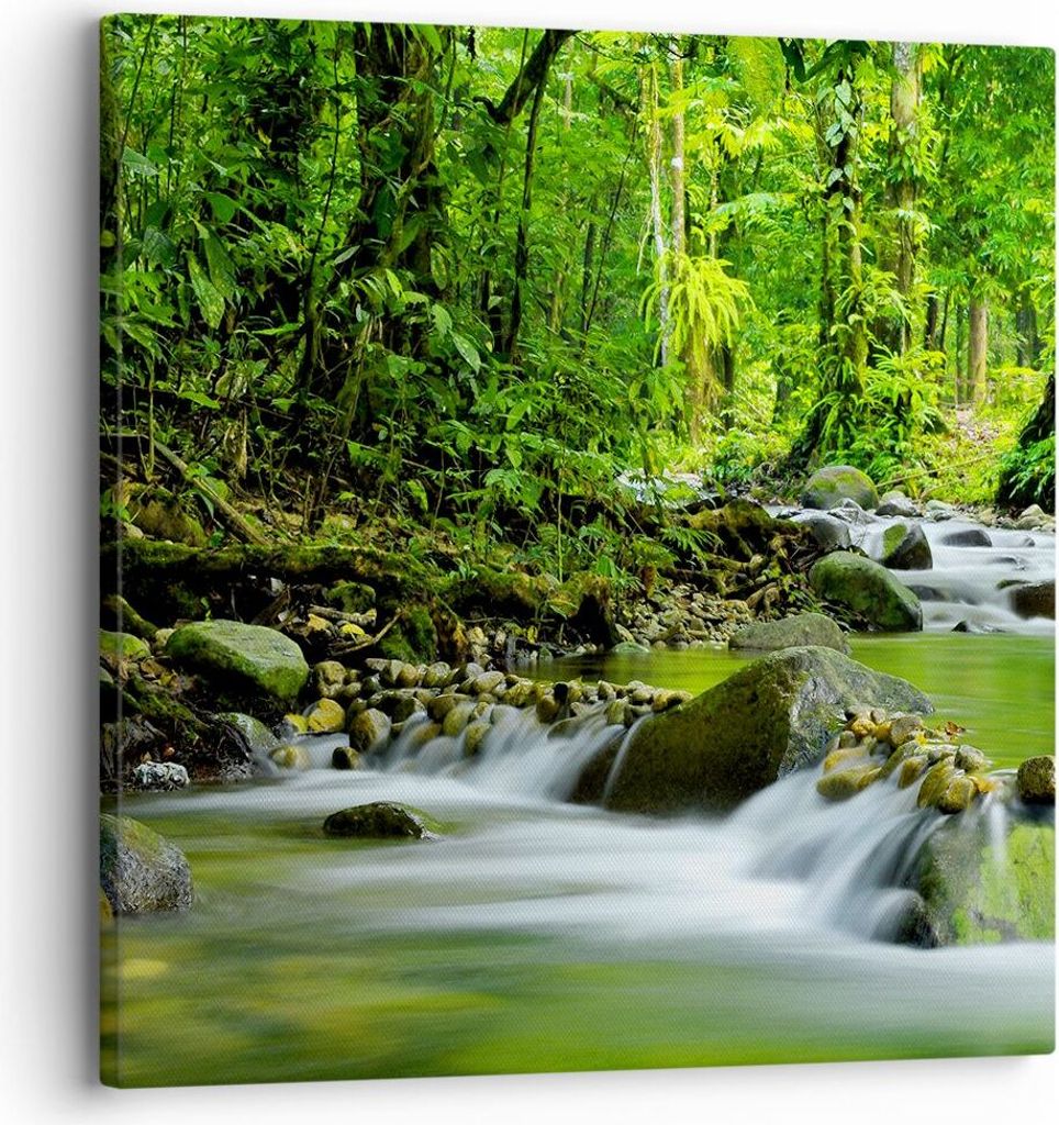 Bild auf Leinwand - Leinwandbild - Stream Wald Natur - 30x30cm - Wand Bild - Wanddeko - Wandbilder - Leinwanddruck - Bilder - Kunstdruck - Wanddeko...
