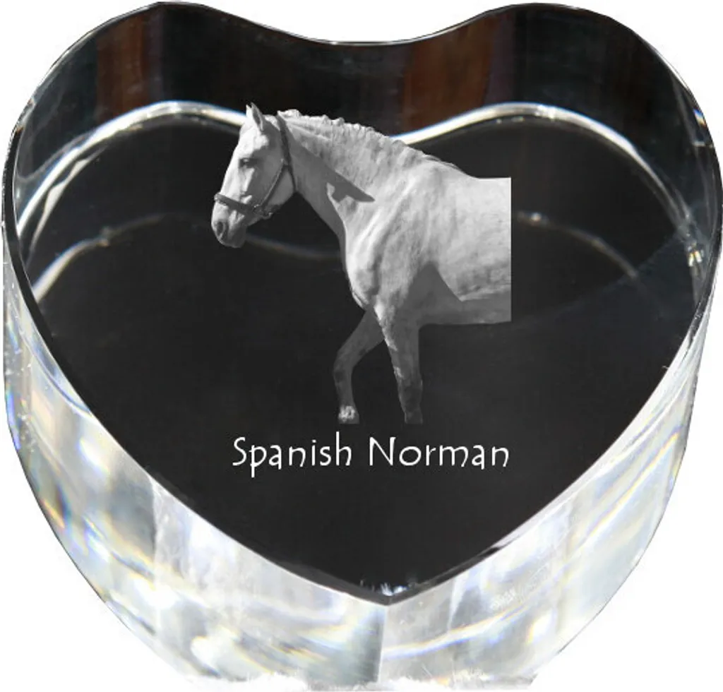 Cadeau de Luxe Cavalier : Photo Cristal Norman Espagnol Art-Dog