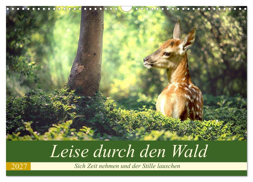 Leise durch den Wald. Sich Zeit nehmen und der Stille lauschen (Wandkalender 2027 DIN A3 quer), CALVENDO Monatskalender