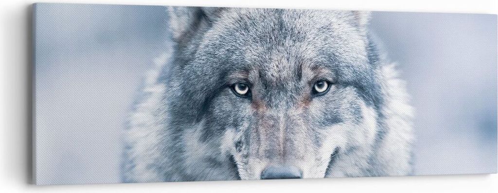 Bild auf Leinwand - Leinwandbild - Einteilig - Wolf Raubtier Wildheit - 90x30cm - Wand Bild - Wanddeko - Wandbilder - Leinwanddruck - Bilder - Wand...