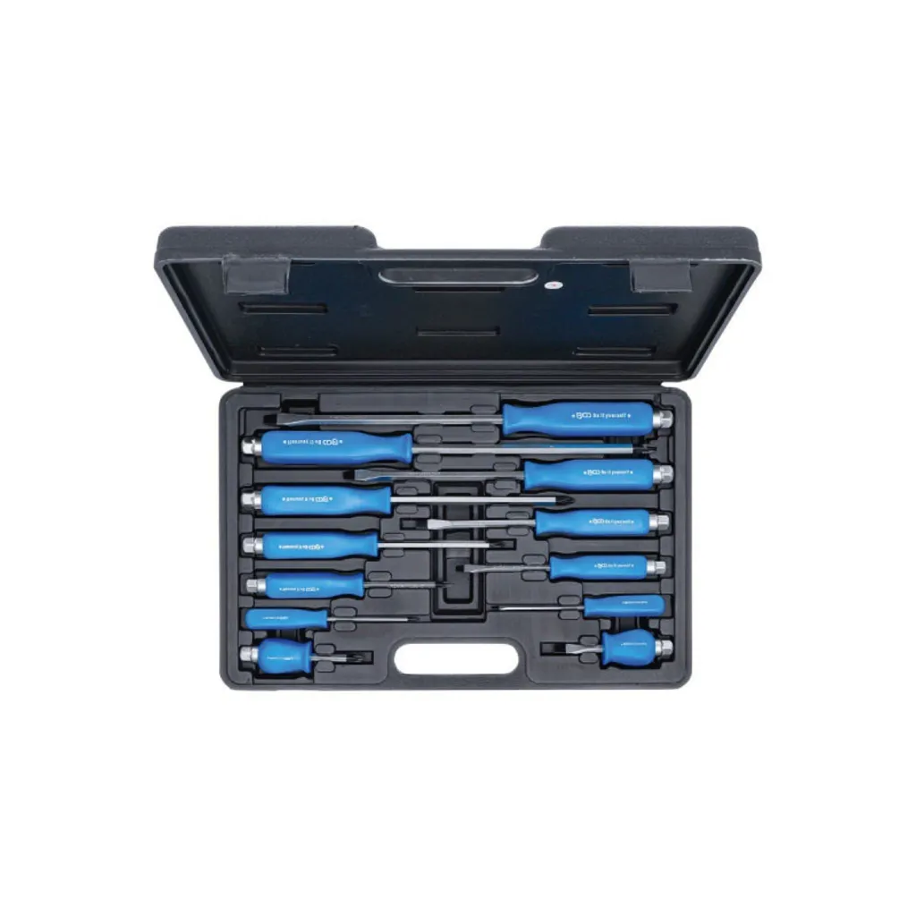 Coffret de 12 tournevis plats et cruciformes KRAFTMANN 7890 robuste