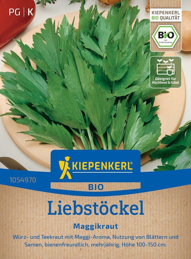 Kiepenkerl Liebstöckelsamen Maggikraut Levisticum officinale 80 Pflanzen
