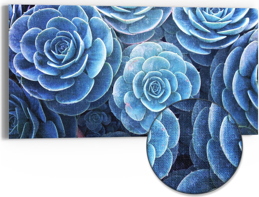 DEQORI Hybrid Leinwand Bild 60x30 cm 'Blaue Sukkulentenpracht' Wandbild Glas flach modern