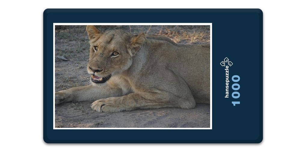 hansepuzzle 18769 - Löwe Puzzle, 1000 Teile, Tierwelt, 60,0 x 46,0cm mit hochwertiger Aufbewahrung, Kartonbox und wiederverschließbarem Beutel