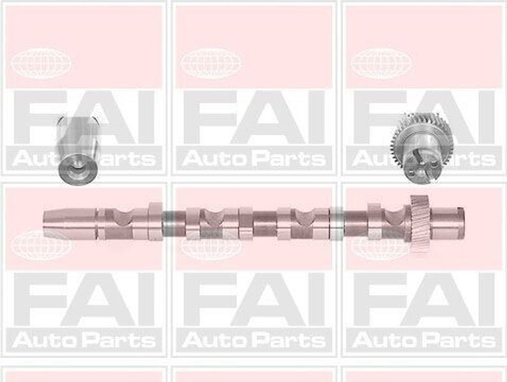 FAI AutoParts C244 Nockenwelle für Zylinder 1-3 für VW PASSAT Variant (3B6) PASSAT Variant (3B5) PASSAT (3B3) PASSAT (3B2) für AUDI A4 Avant (8E...