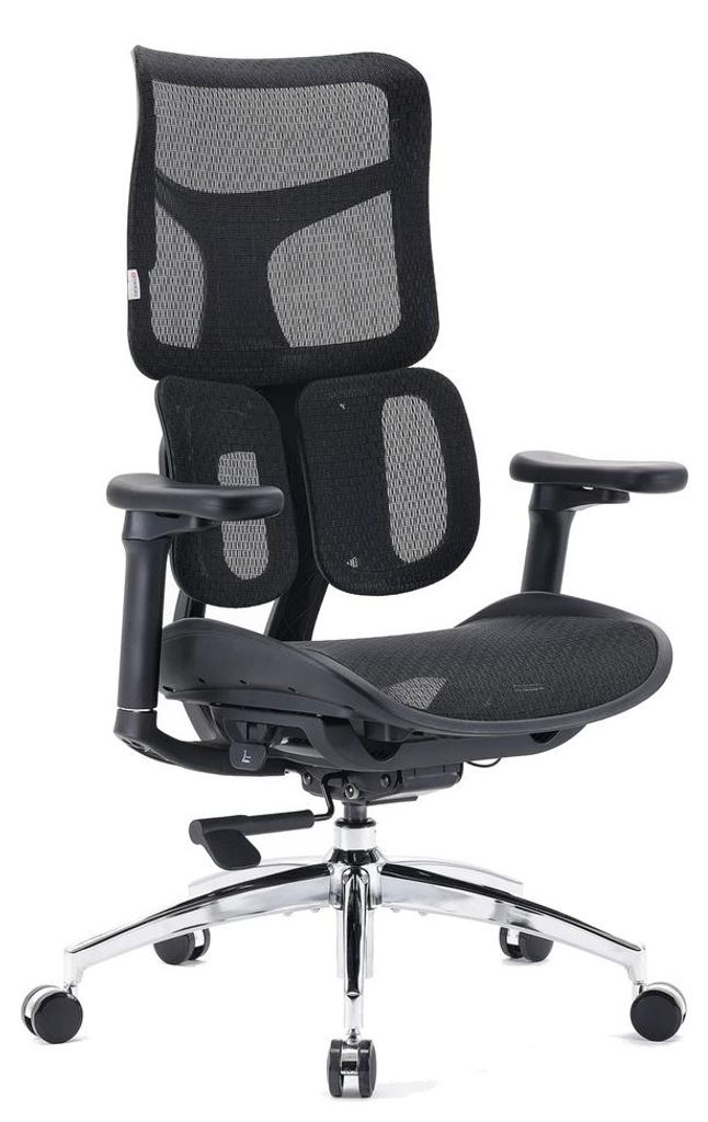 Sihoo Profi Bürostuhl S100-M301 Ergonomischer Schreibtischstuhl mit Armlehnen (höhenverstellbar) Netzstoff Schwarz Drehstuhl für Büro, Zuhause