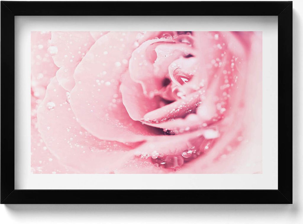 Tautropfen und Rosenblüten– Wandbild mit Rahmen – Gerahmtes Bild – Wanddekoration – 30x20 cm – Schwarz Rahmen
