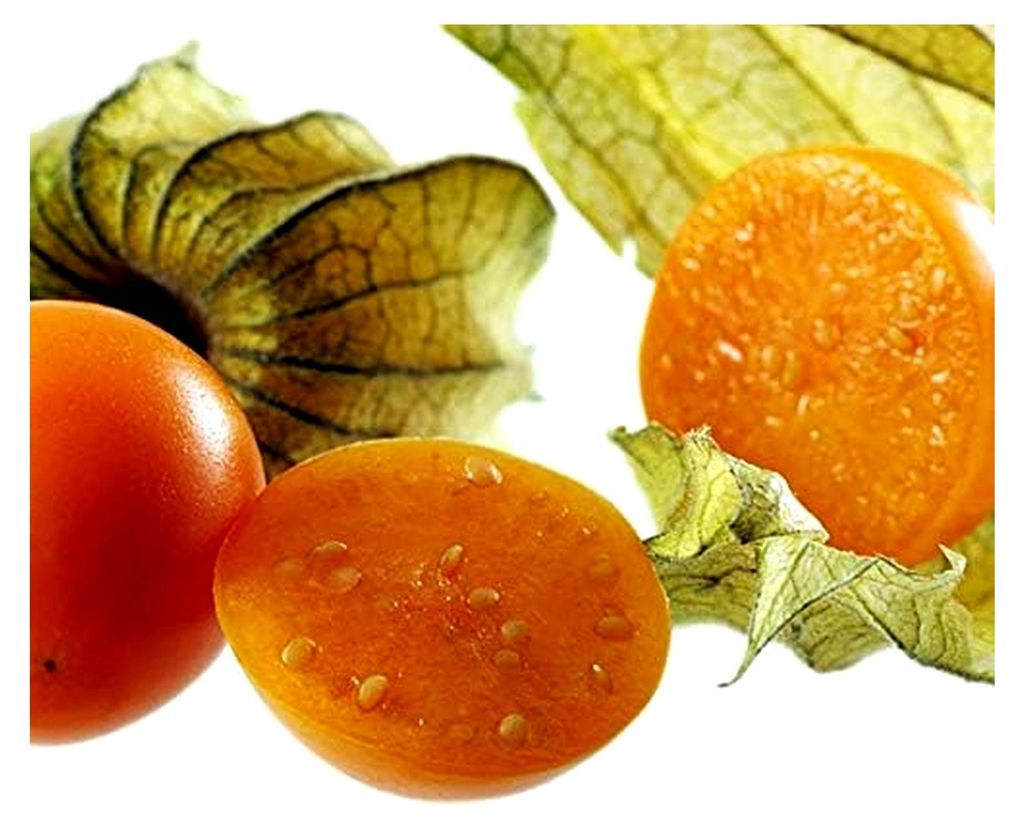 Andenbeere Schönbrunner Gold