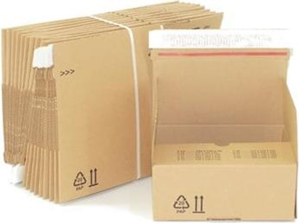 Karton, gestanzt, 169 x 130 x 70 mm – Packung mit 100 Stück