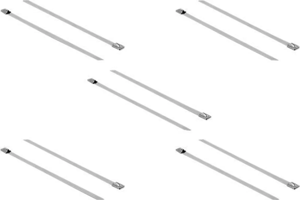 Delock Fascette Metallo 200mm per Scarichi e Motori - Inox 304 10pz