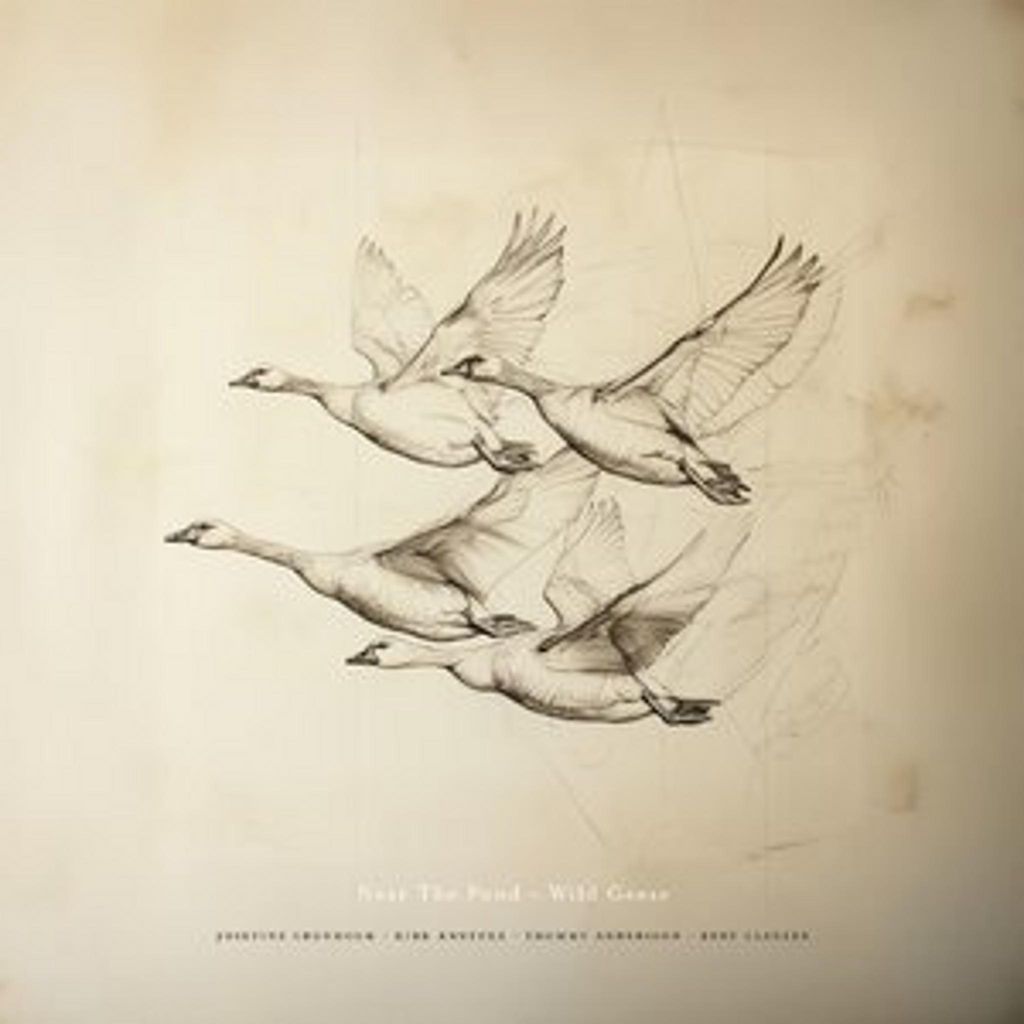 Wild Geese