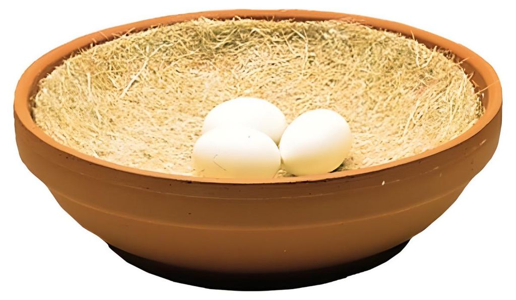 Inserti di nidificazione per piccioni Nobby Natural Immagine del prodotto 
