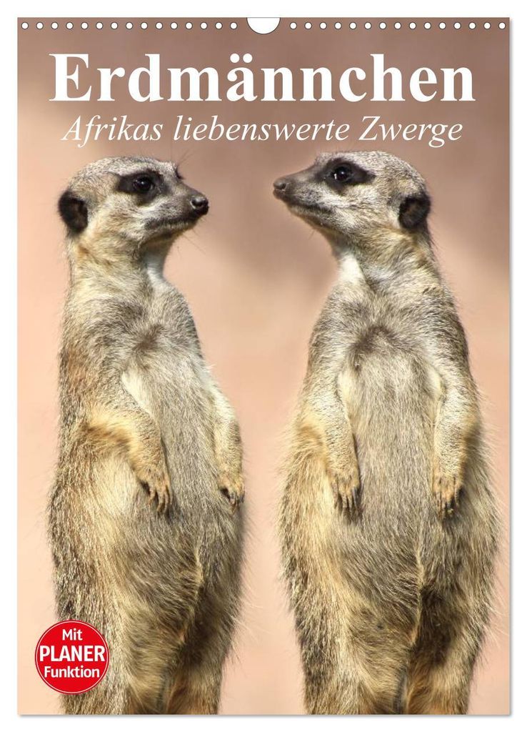 Erdmännchen - Afrikas liebenswerte Zwerge (Wandkalender 2027 DIN A3 hoch), CALVENDO Monatskalender