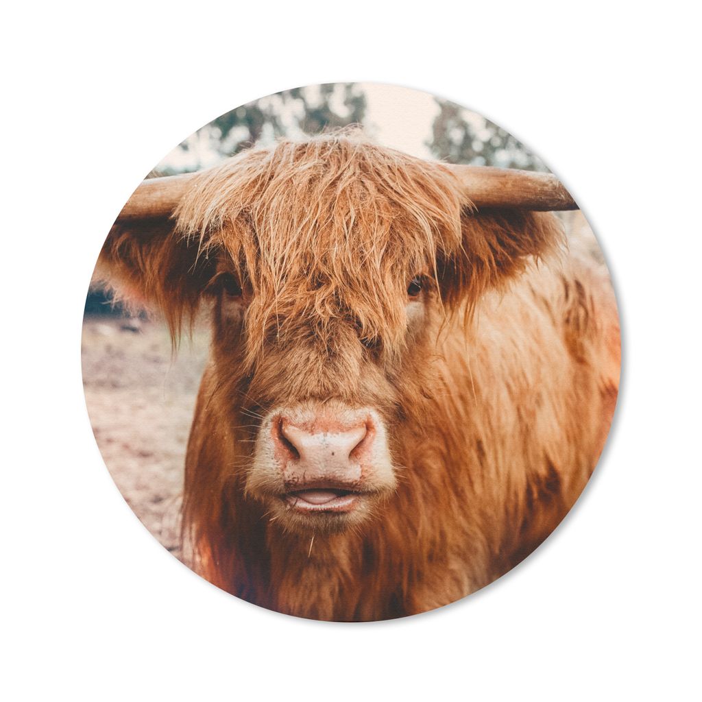 MuchoWow Mauspad Mousepad Kuh - Schottischer Hochländer - Hörner - Braun - Landschaft 40x40 cm - Mousepads - Maus Mat - Pad - Mausunterlage - S...