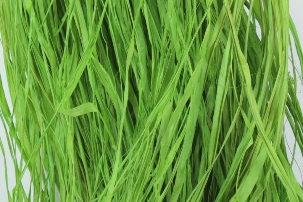 Dekoband Raffia Bast 500g apfelgrün Raffiaband Produktbild 