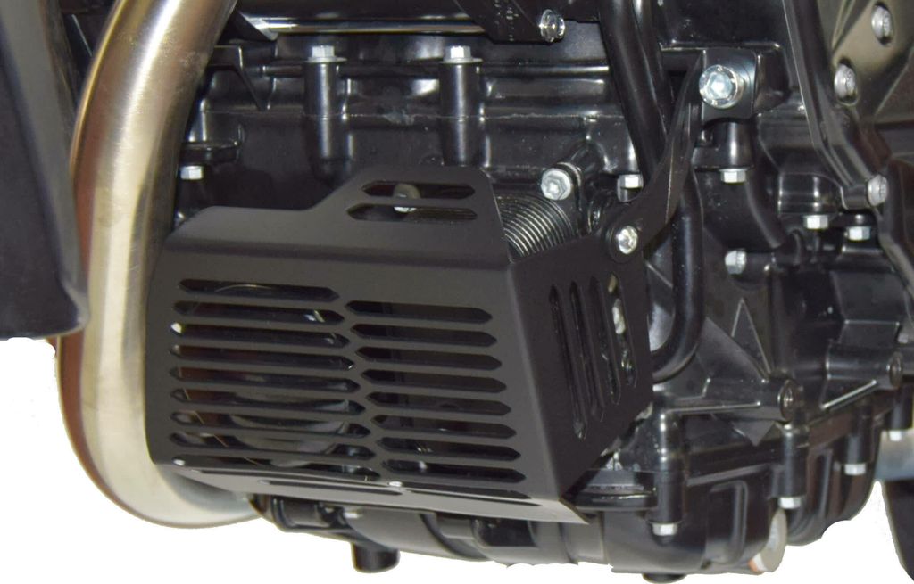 ISOTTA Kühlergrill schwarz für BMW F 700 GS