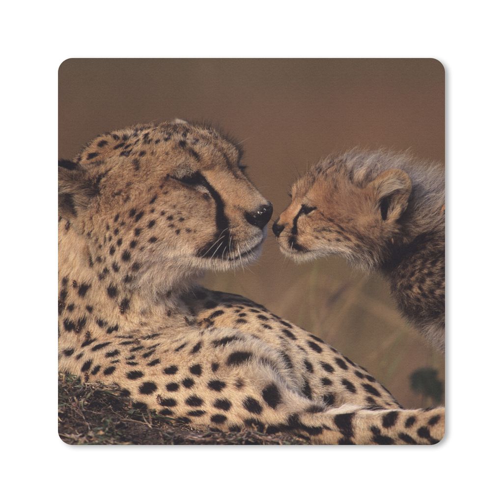 MuchoWow Mauspad Mousepad Gepardenmutter und Jungtier 20x20 cm - Mousepads - Maus Mat - Pad - Mausunterlage - Desk Mat - Bureauartikeln