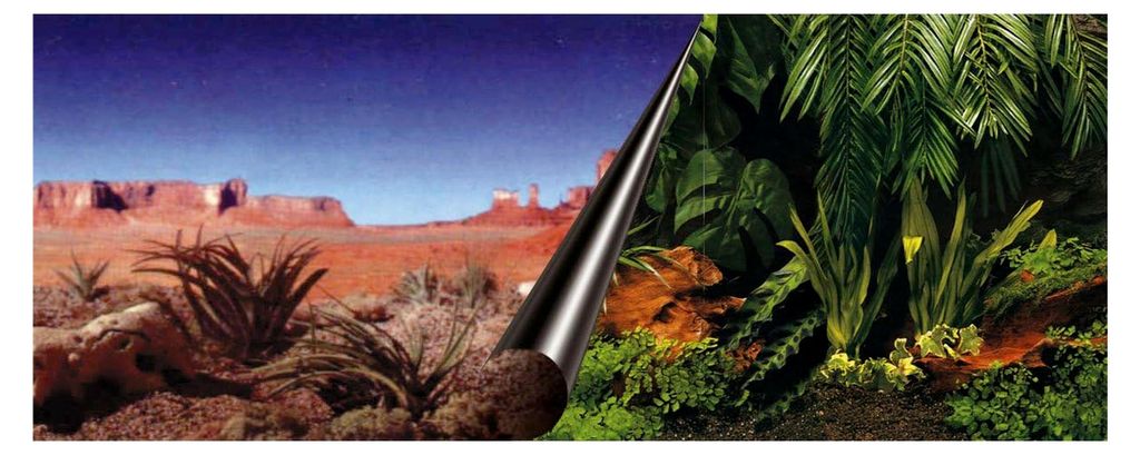 Photo-Rückwand, 60 x 30 cm Motiv Dschungel und Wüste